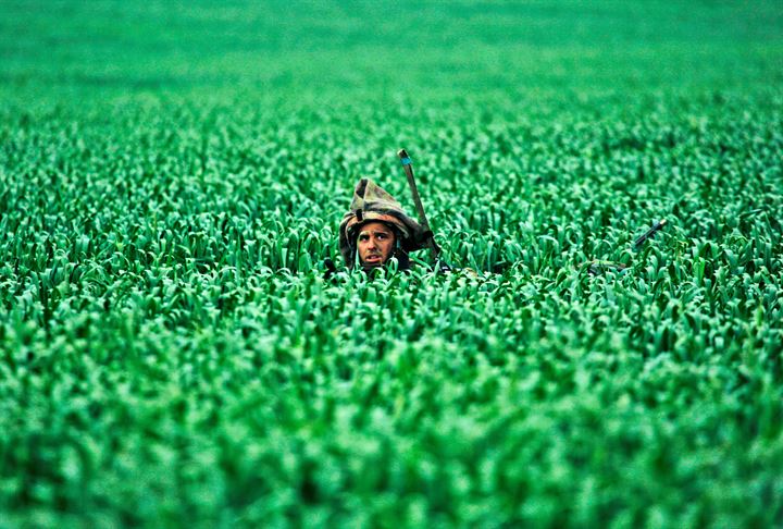 Ünlü foto muhabiri Yannis Behrakis, 58 yaşında hayatını kaybetti - 29