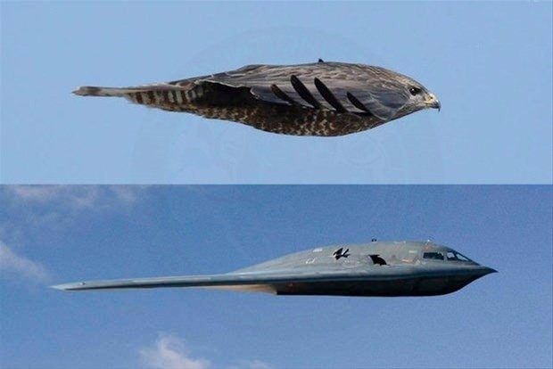 Dünyanın en pahalı 10 uçağı ve sıra dışı özellikleri - 49