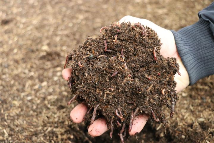 Memurluğu bırakıp solucan gübresi üreticisi oldu - 3
