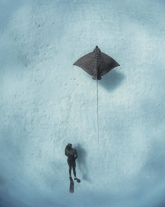 İşte National Geographic yarışmasının kazanan fotoğrafları - 2