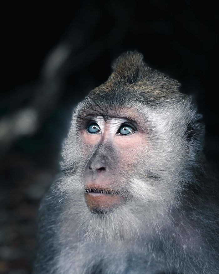 İşte National Geographic yarışmasının kazanan fotoğrafları - 9