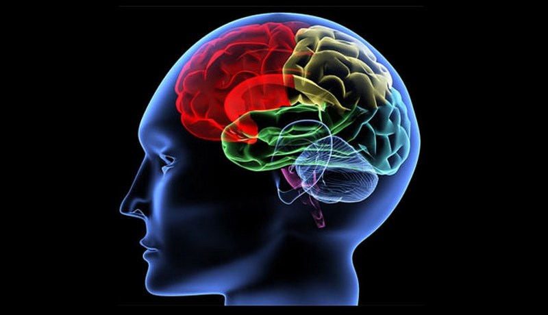 25 soruda beyin yaşınızı öğrenin - 1