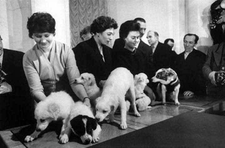 Uzaya fırlatılan hayvanların acı sonu - 5