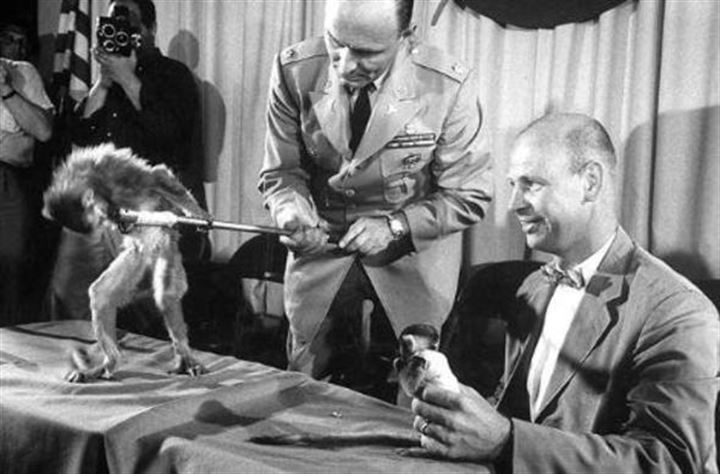 Uzaya fırlatılan hayvanların acı sonu - 13