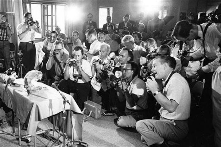 Uzaya fırlatılan hayvanların acı sonu - 15