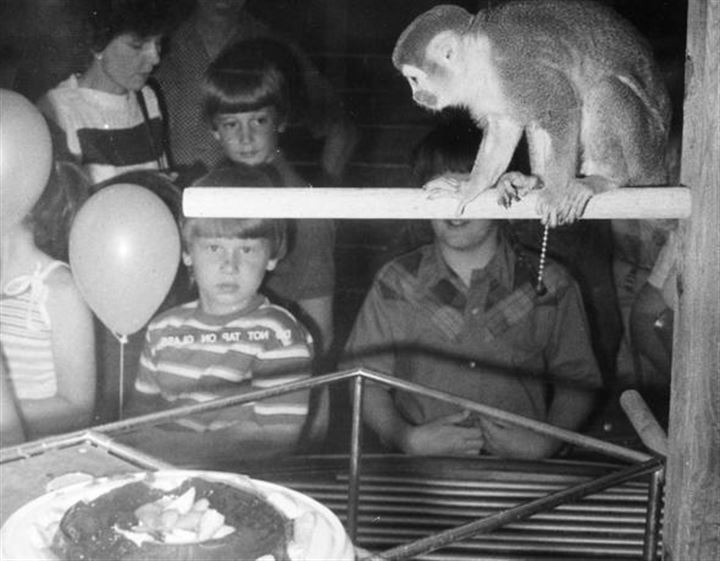 Uzaya fırlatılan hayvanların acı sonu - 16