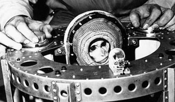 Uzaya fırlatılan hayvanların acı sonu - 20