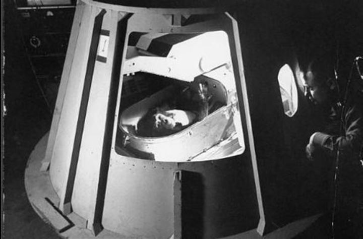 Uzaya fırlatılan hayvanların acı sonu - 21