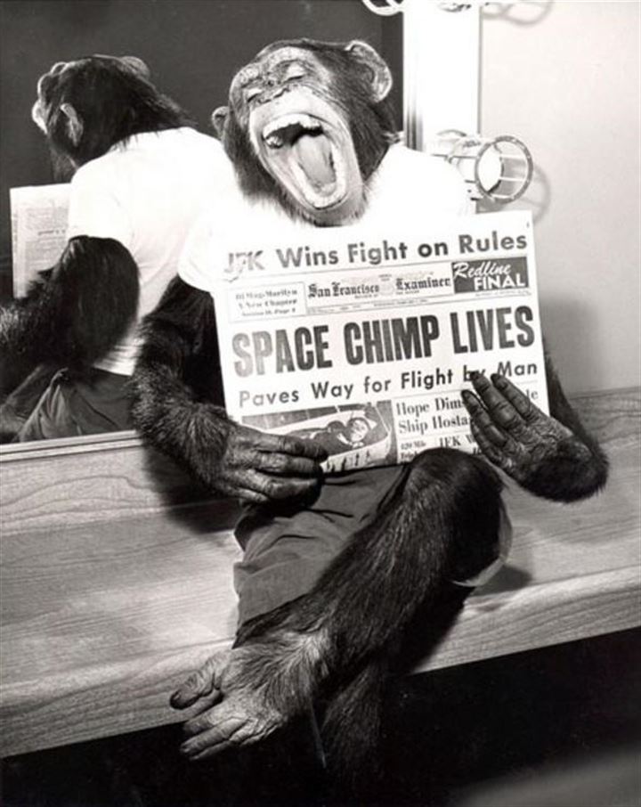 Uzaya fırlatılan hayvanların acı sonu - 26