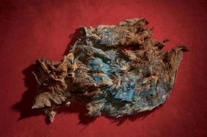 600 yıl sonra korkunç sır ortaya çıktı - 9