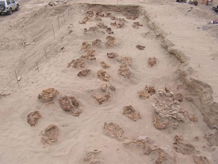 600 yıl sonra korkunç sır ortaya çıktı - 6