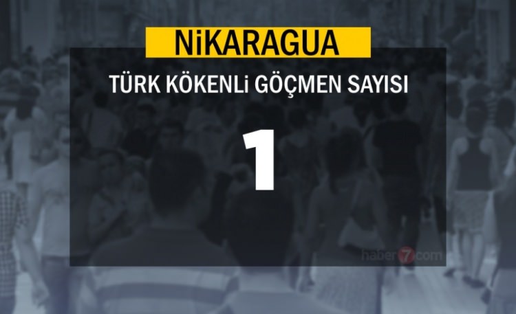 Hangi Ülkede kaç Türk yaşıyor ? - 1