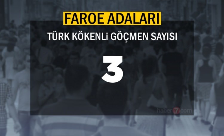 Hangi Ülkede kaç Türk yaşıyor ? - 4