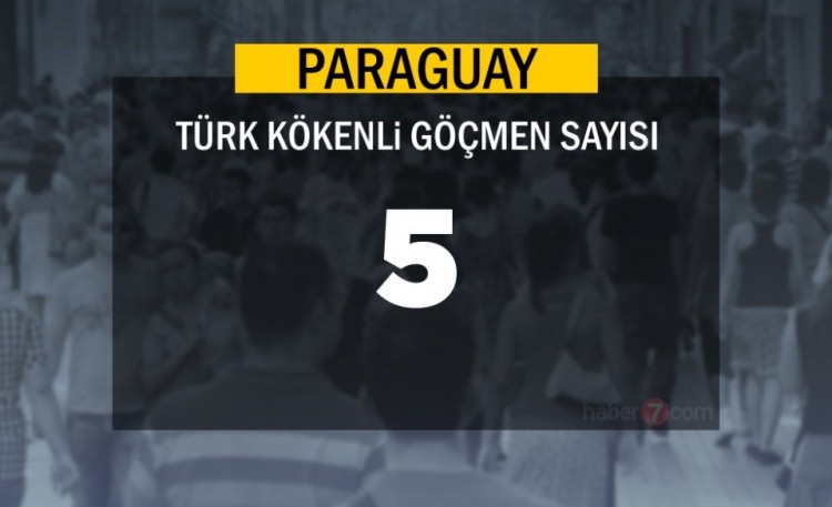 Hangi Ülkede kaç Türk yaşıyor ? - 6