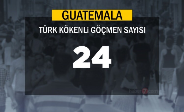 Hangi Ülkede kaç Türk yaşıyor ? - 11