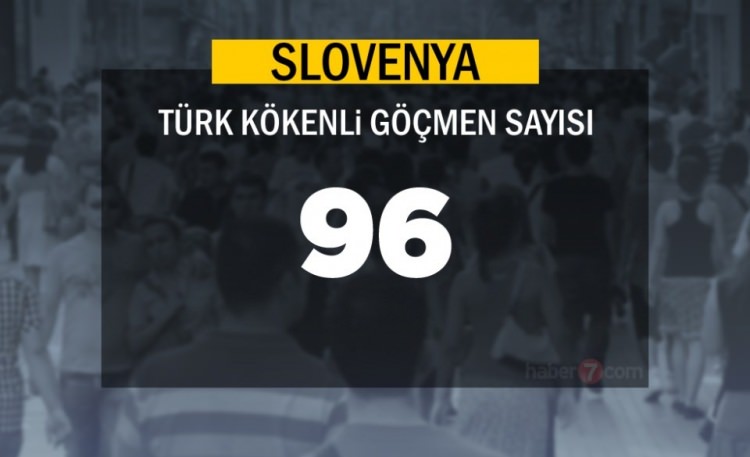 Hangi Ülkede kaç Türk yaşıyor ? - 19