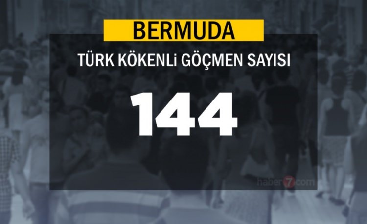 Hangi Ülkede kaç Türk yaşıyor ? - 25