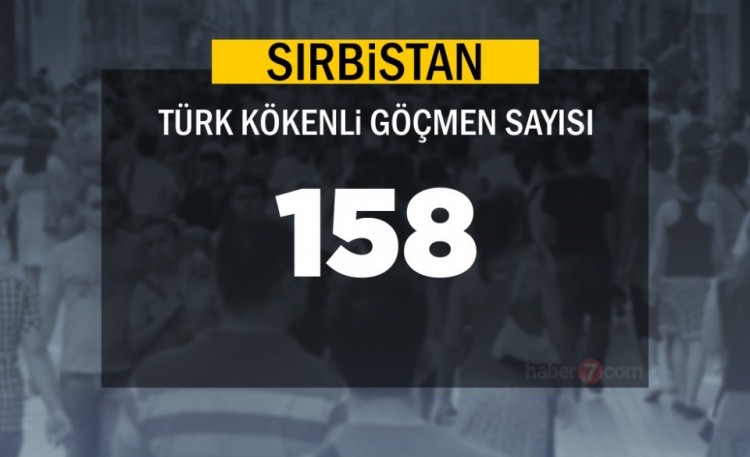 Hangi Ülkede kaç Türk yaşıyor ? - 28