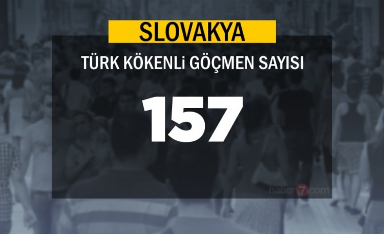Hangi Ülkede kaç Türk yaşıyor ? - 27