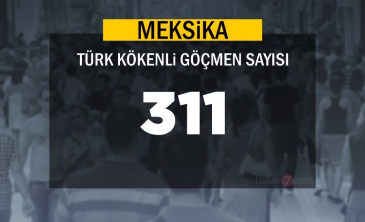 Hangi Ülkede kaç Türk yaşıyor ? - 34