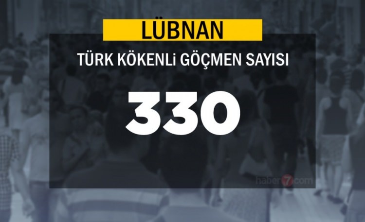 Hangi Ülkede kaç Türk yaşıyor ? - 35