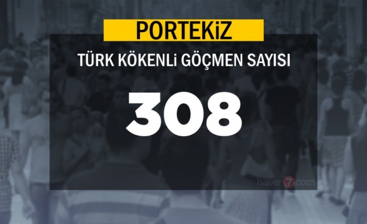 Hangi Ülkede kaç Türk yaşıyor ? - 33
