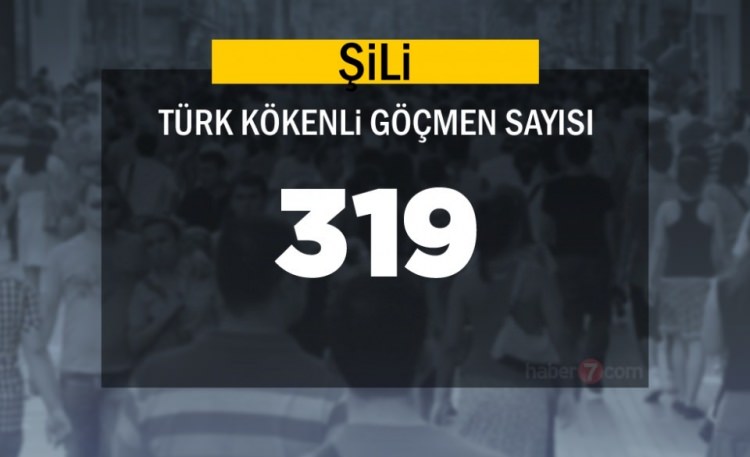 Hangi Ülkede kaç Türk yaşıyor ? - 36