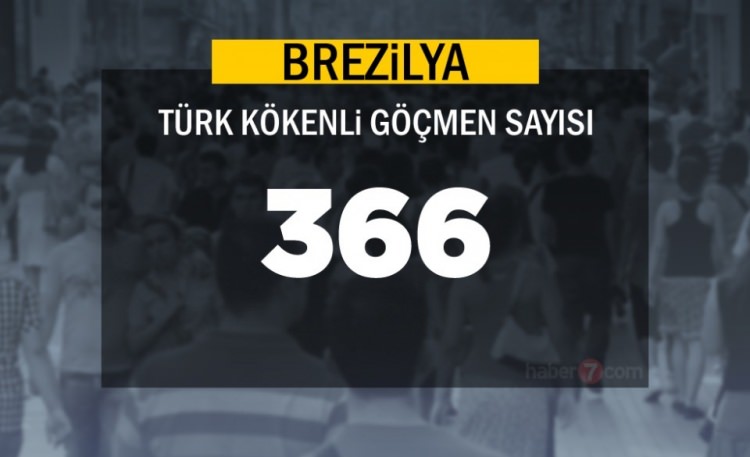 Hangi Ülkede kaç Türk yaşıyor ? - 37
