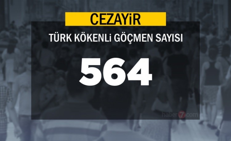 Hangi Ülkede kaç Türk yaşıyor ? - 38