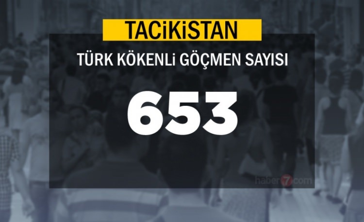 Hangi Ülkede kaç Türk yaşıyor ? - 39