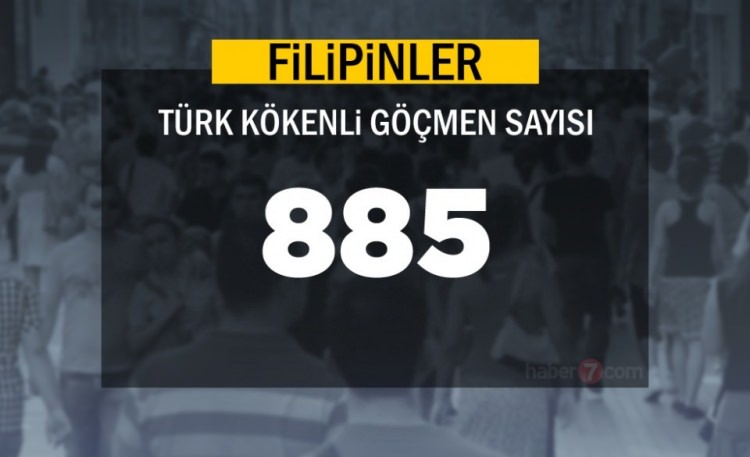 Hangi Ülkede kaç Türk yaşıyor ? - 43