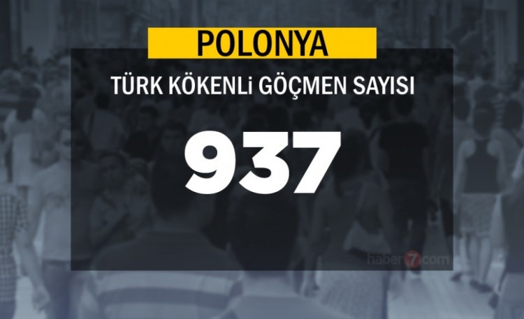 Hangi Ülkede kaç Türk yaşıyor ? - 45