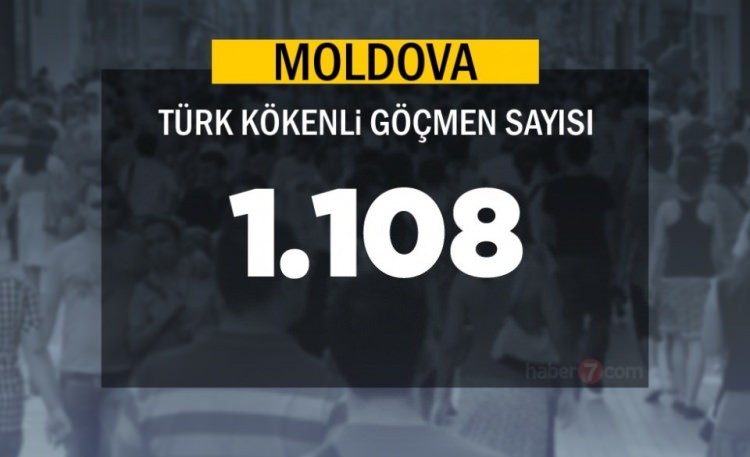 Hangi Ülkede kaç Türk yaşıyor ? - 47