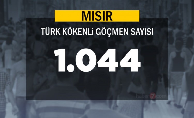 Hangi Ülkede kaç Türk yaşıyor ? - 49