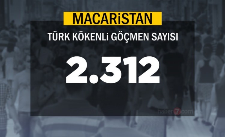 Hangi Ülkede kaç Türk yaşıyor ? - 52