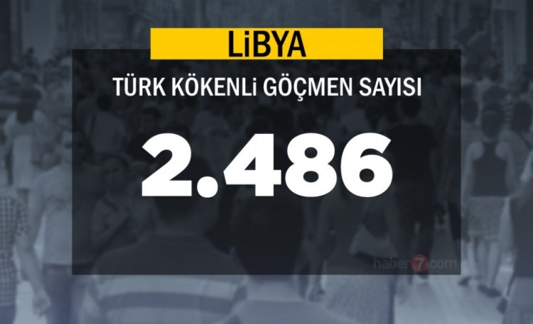 Hangi Ülkede kaç Türk yaşıyor ? - 55