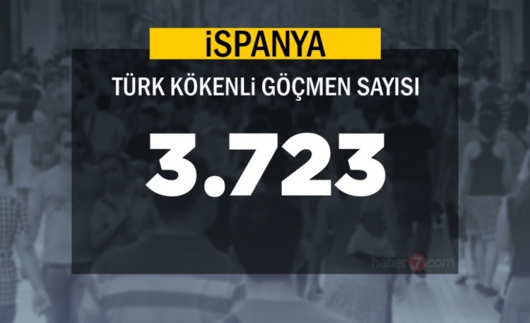 Hangi Ülkede kaç Türk yaşıyor ? - 56