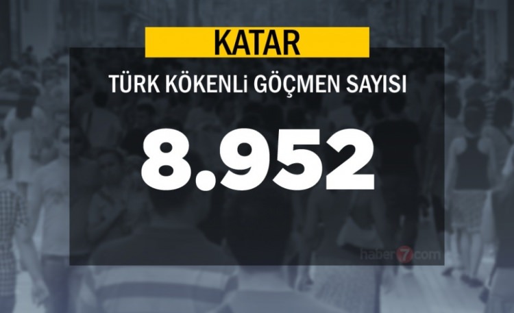 Hangi Ülkede kaç Türk yaşıyor ? - 59