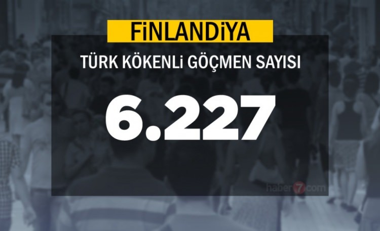 Hangi Ülkede kaç Türk yaşıyor ? - 61
