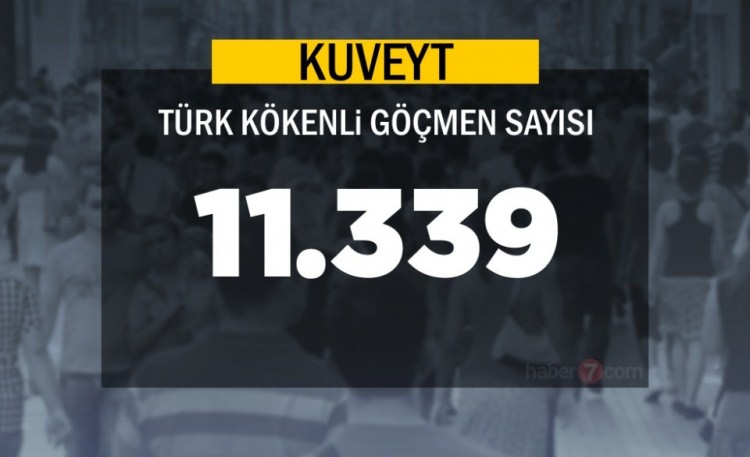 Hangi Ülkede kaç Türk yaşıyor ? - 63