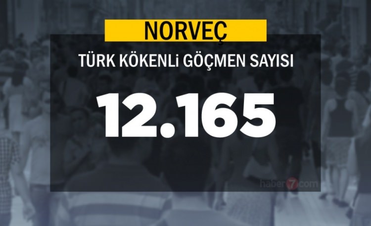 Hangi Ülkede kaç Türk yaşıyor ? - 66