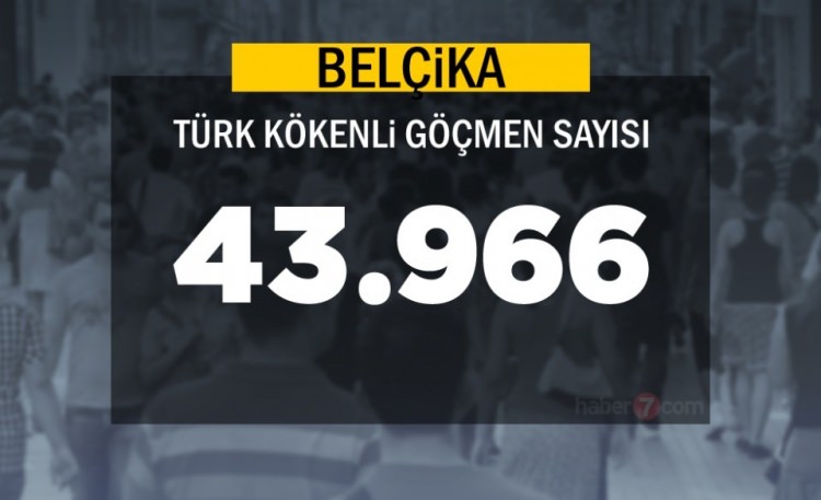 Hangi Ülkede kaç Türk yaşıyor ? - 71