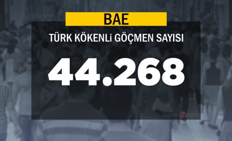 Hangi Ülkede kaç Türk yaşıyor ? - 72