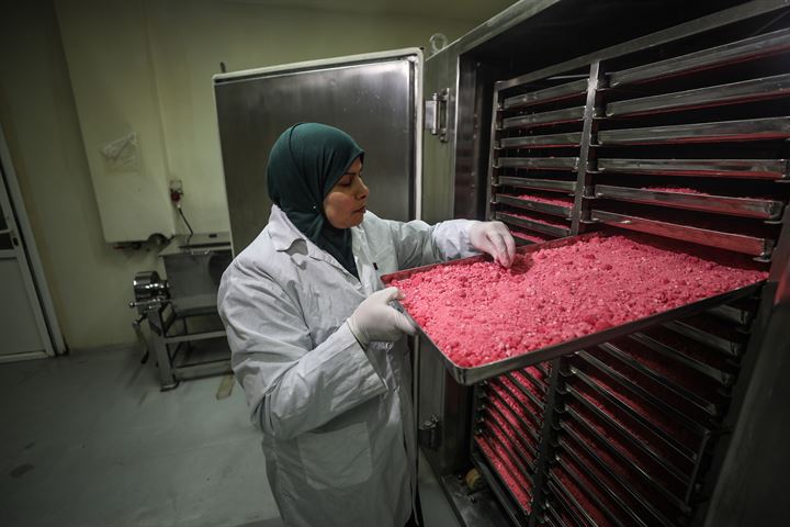 Gazze'deki tek ilaç fabrikası İsrail baskısına direniyor - 2