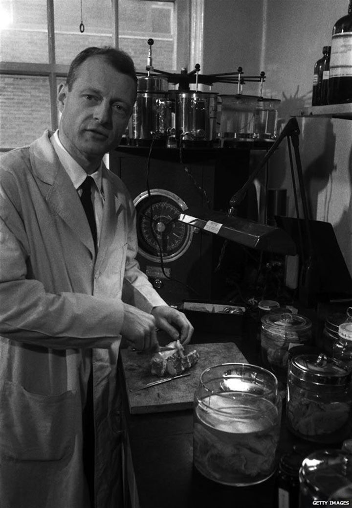 Einstein'ın beynini 240 parçaya böldü - 2