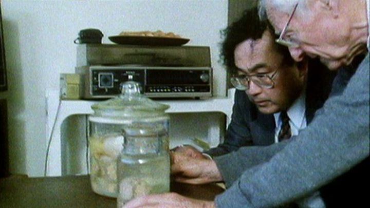 Einstein'ın beynini 240 parçaya böldü - 13