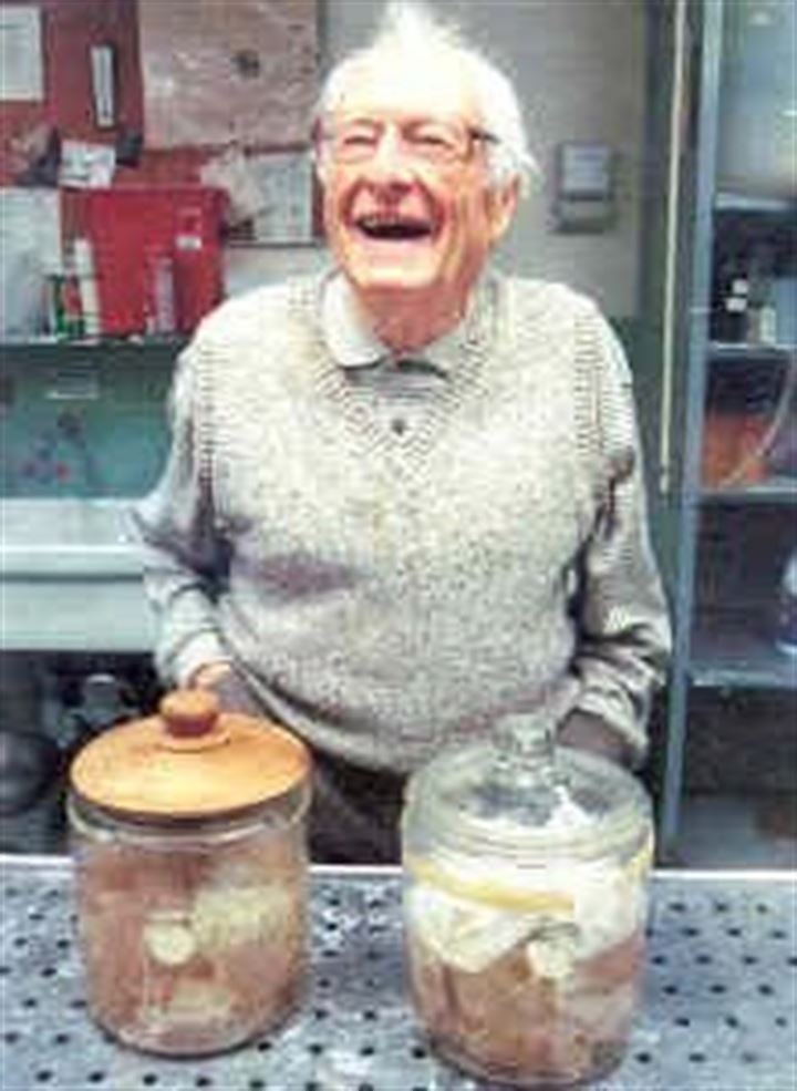 Einstein'ın beynini 240 parçaya böldü - 15