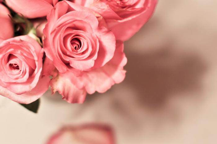 Peygamber efendimizin (SAV)  yön verici 40 hadis-i şerifi - 14