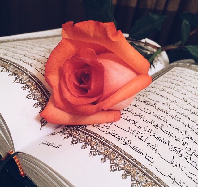 Peygamber efendimizin (SAV)  yön verici 40 hadis-i şerifi - 18