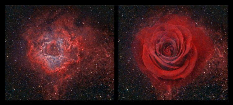 Peygamber efendimizin (SAV)  yön verici 40 hadis-i şerifi - 28